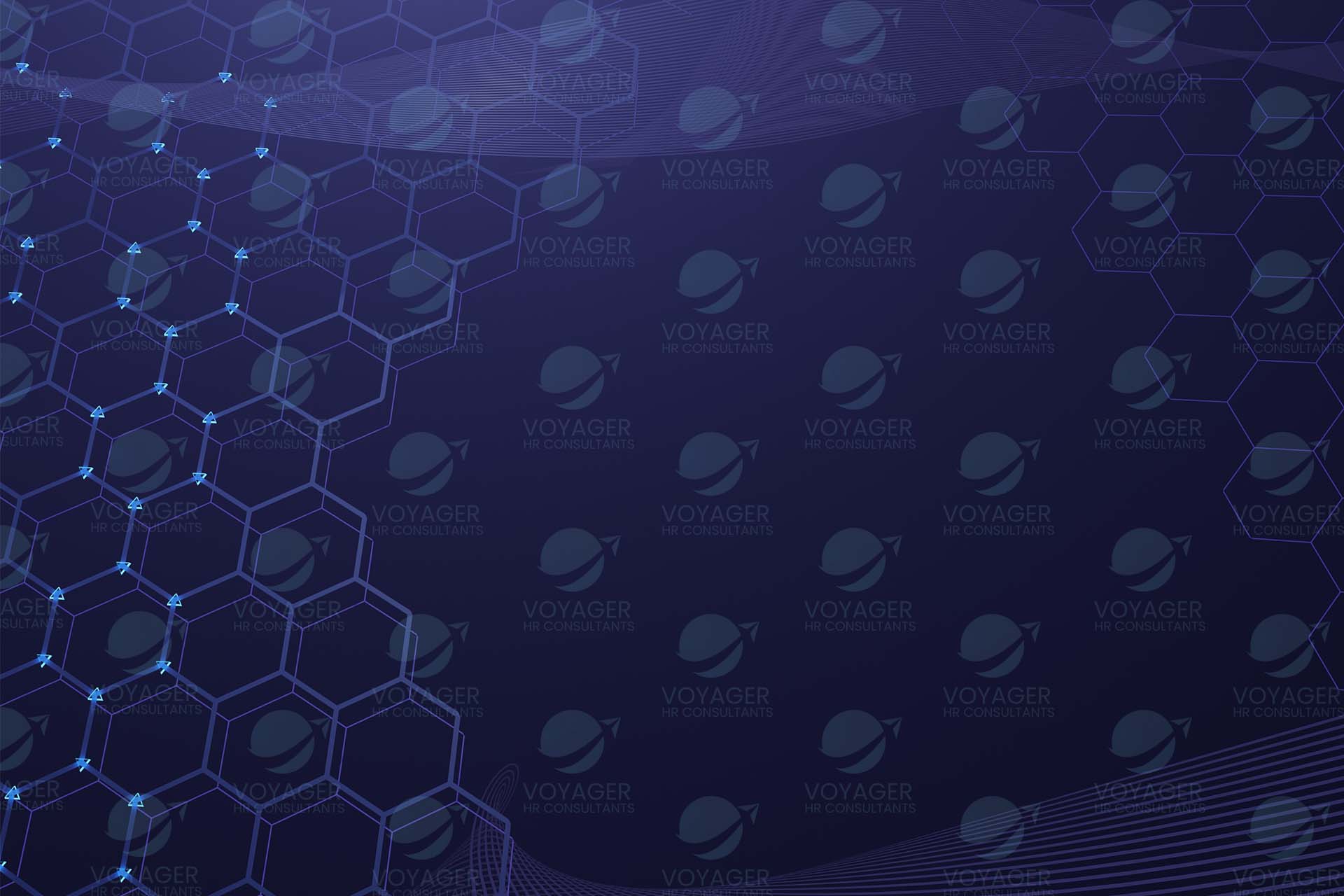 Voyager HR - Header Image with logo grid